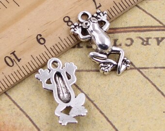 May include: Two silver frog charms, one with a detailed design and the other with a hollow back. The charms are perfect for jewelry making or crafting.
