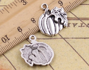 May include: Two silver-toned pumpkin charms. One charm is a detailed pumpkin with a stem and leaves. The other charm is a textured pumpkin.