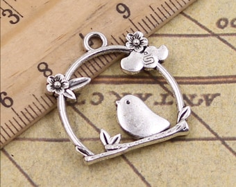 Pendentifs accessoires bird cage 25 *26mm.