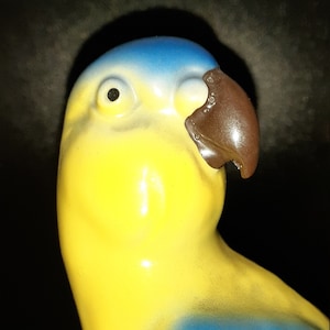 Blue and Yellow Porcelain Parrot Vintage