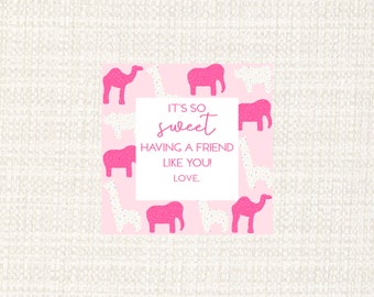 Animal Cookie Valentine’s Day Cards