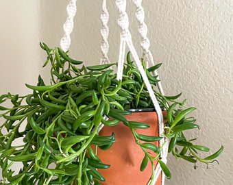 Each Order goes to support Community Clinic in Nigeria. Natural Color | 35 inch HousePlant Macramè Hanger