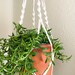 see more listings in the Macrame Plant Hanger section