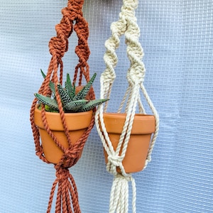 May include: Two macrame plant hangers, one in a terracotta color and one in white, with a small succulent plant in a terracotta pot hanging from the terracotta hanger.