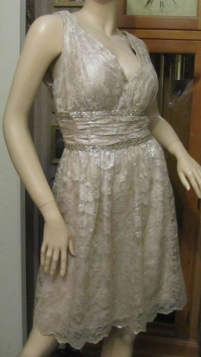 Kay Unger New York Champagne Lace Beaded /& Sequins Dress size 16