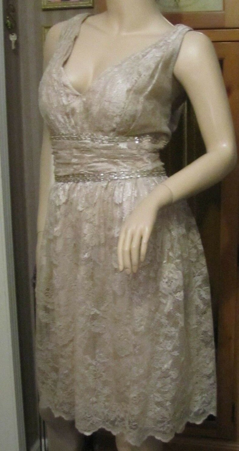Kay Unger New York Champagne Lace Beaded /& Sequins Dress size 16