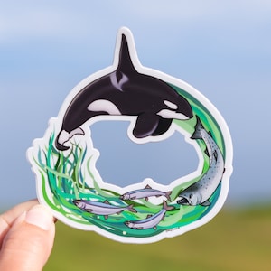 May include: A die-cut vinyl sticker featuring a black and white orca swimming in a circle above three small silver fish and one larger grey spotted fish, all surrounded by green seaweed illustrations on a white background with a clear border.