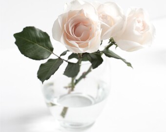 Portrait Styled Stock Photography | Blush and White Roses | Floral Styled Photography | Digital Image