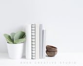 Styled Stock Photography Succulent with Notebooks and wooden bowls Styled Photography Digital Image