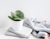 Styled Stock Photography Succulent, Grey Throw and Desk Accessories Styled Photography Digital Image