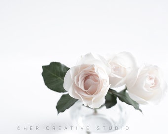 Blush Roses Styled Stock Photo: Website & Social Media (Digital Image)