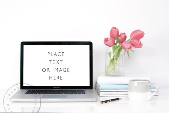 Styled Stock Photography Coral Robin Egg Blue And