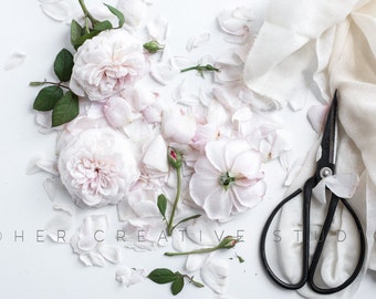 Styled Stock Photography. Garden roses discarded with scissors. Styled Desktop. Flatlay. Digitial Image.