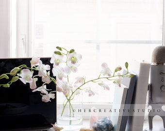 Wellness Styled Stock Photo: Crystals, Orchids, Laptop (Digital Photo)