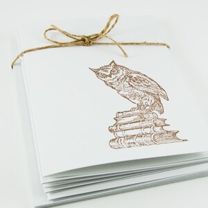 May include: A stack of blank white cards with a brown twine bow and a brown ink drawing of an owl perched on a stack of books.