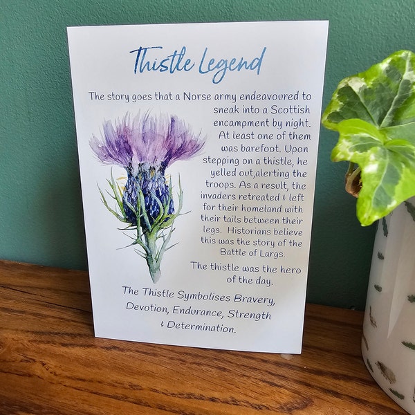 Thistle Story Greetings Card // Flower of Scotland // Thistle Legend // Scottish Card // Thistle Meaning // Celtic Card
