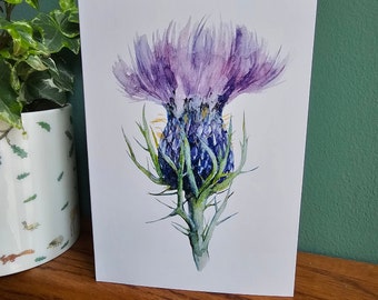 Thistle Greetings Card // Flower of Scotland // Gift Card Scotland // Scottish // Birthday // Any Occasion Blank Card