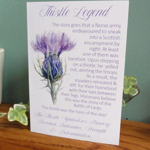Thistle Story Greetings Karte // Flower of Scotland // Distel Legende // Schottische Karte // Bedeutung der Distel // Keltische Karte