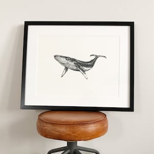 Screenprint - Whale - 2019