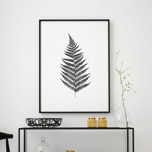 Screenprint - Fern - 2018