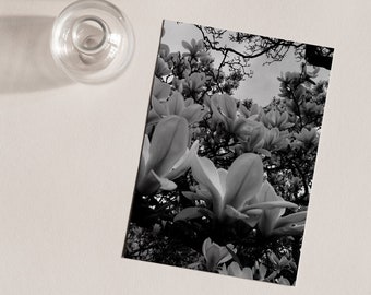 Card - Tulip tree