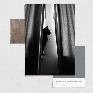 Carta - Gatto Nero
