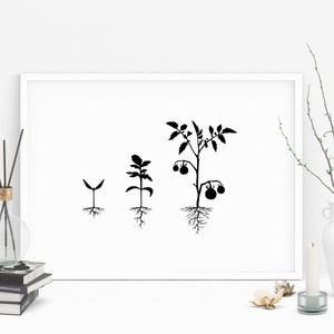 Screenprint - plants - 2018