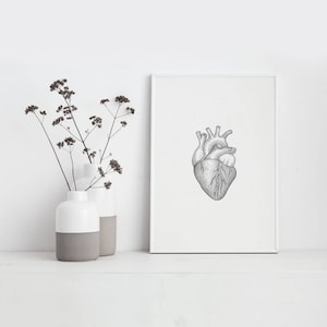 Screenprint - Heart - 2017