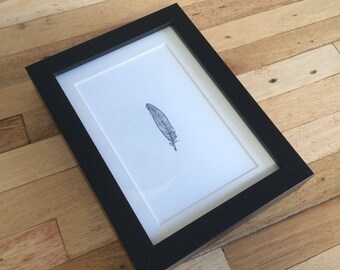 Framed print - Feather 15x20 cm