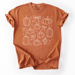 May include: A burnt orange short-sleeve t-shirt featuring a white line art graphic print. The design consists of various pumpkin shapes, decorative bows, and small four-pointed star accents scattered across the center of the garment.