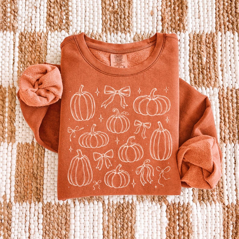 May include: A rust-colored crewneck sweatshirt featuring a white line-art graphic of various pumpkins, bows, and small stars. The interior neck label reads Comfort Colors. A matching rust-colored fabric scrunchie is placed on the left sleeve.