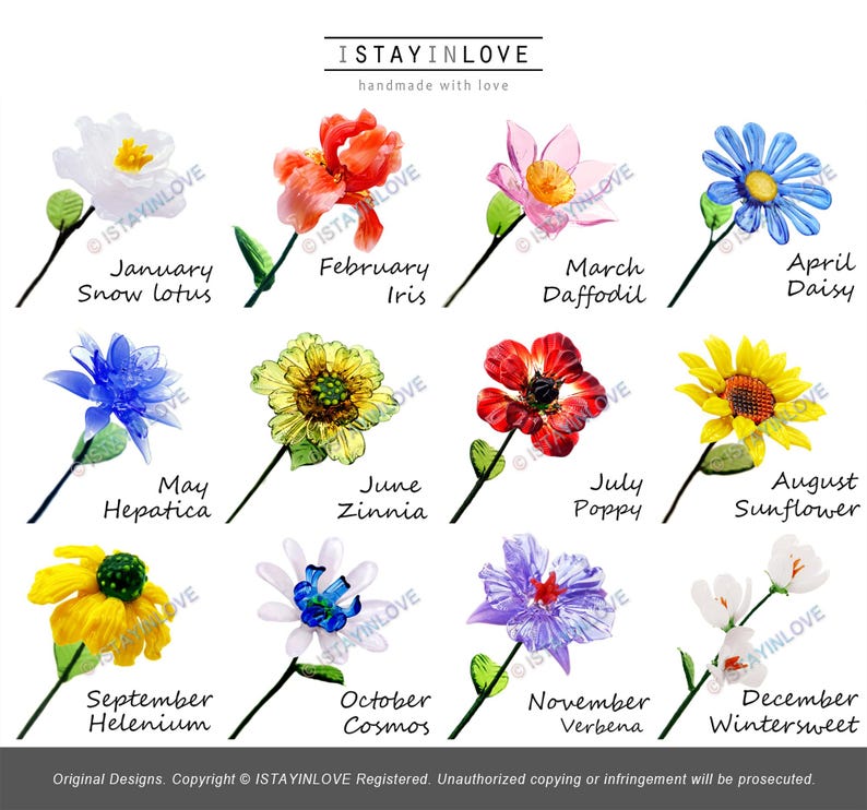 May include: A series of watercolour flower illustrations, each representing a month. Flowers include snow lotus, iris, daffodil, daisy, hepatica, zinnia, poppy, sunflower, helenium, cosmos, verbena, and wintersweet. Text reads 'ISTAYINLOVE'.
