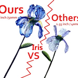 May include: An image comparing two glass iris flowers. The larger blue flower, labelled "Ours", measures 50mm. The smaller purple flower, labelled "Others", measures 40mm. The text "Iris VS" is also present in the image.
