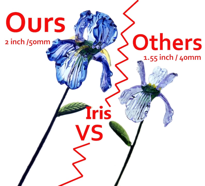 May include: An image comparing two glass iris flowers. The larger blue flower, labelled "Ours", measures 50mm. The smaller purple flower, labelled "Others", measures 40mm. The text "Iris VS" is also present in the image.