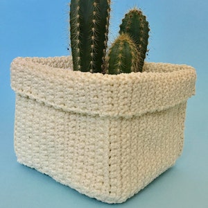 May include: A white crocheted planter with two green cactus plants inside. The planter is square shaped and has a folded top edge.