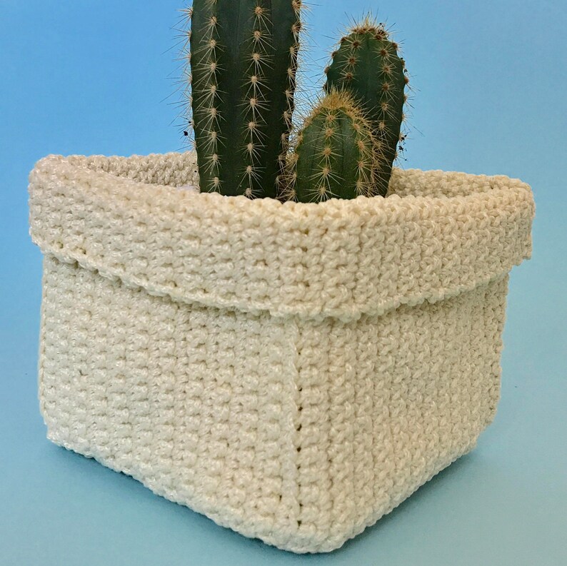 May include: A white crocheted planter with two green cactus plants inside. The planter is square shaped and has a folded top edge.
