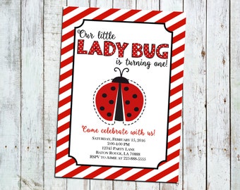 Little Ladybug Birthday Invitation