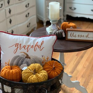 Puede incluir: Un soporte de metal negro con calabazas de crochet en naranja y amarillo. El soporte est&aacute; decorado con una almohada que dice "grateful" y un letrero que dice "blessed".