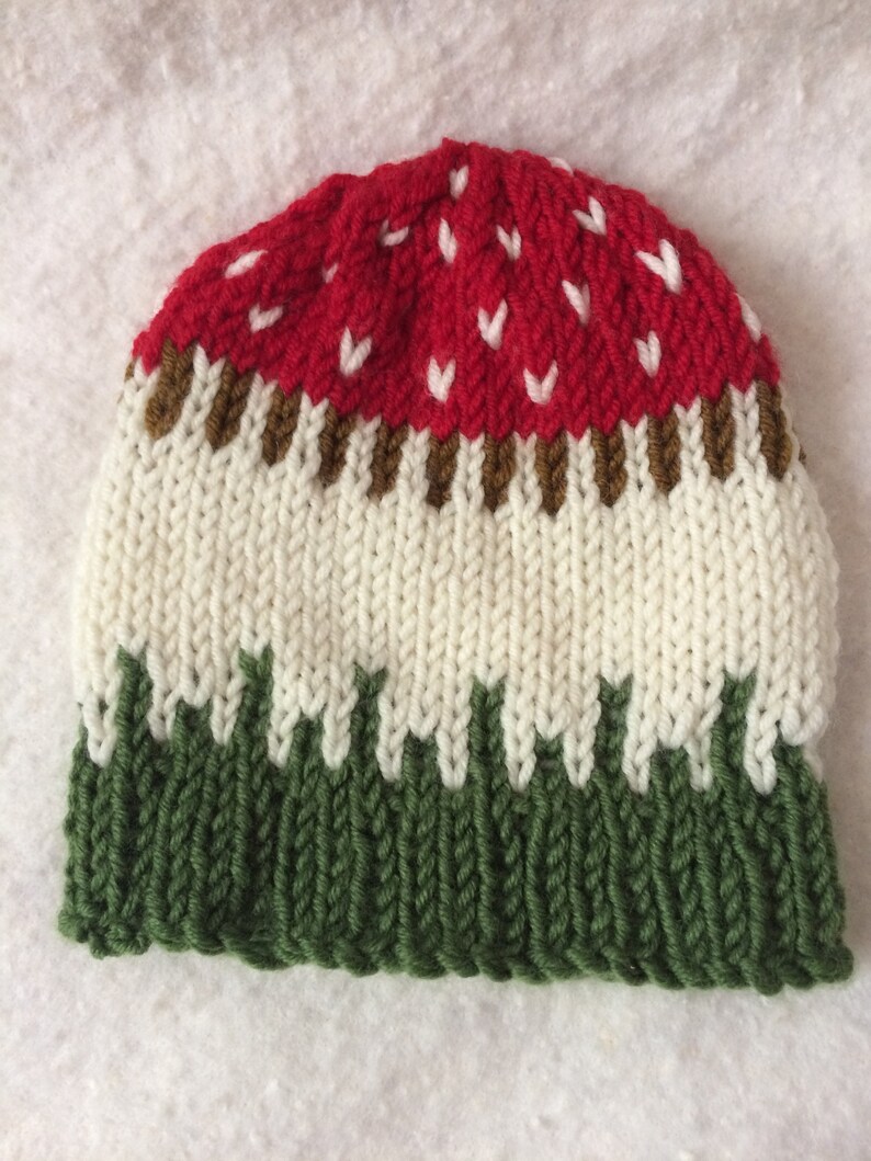 Baby Premium Wool Knit Suit with Mushroom Design – Red (2-Piece + Cap)