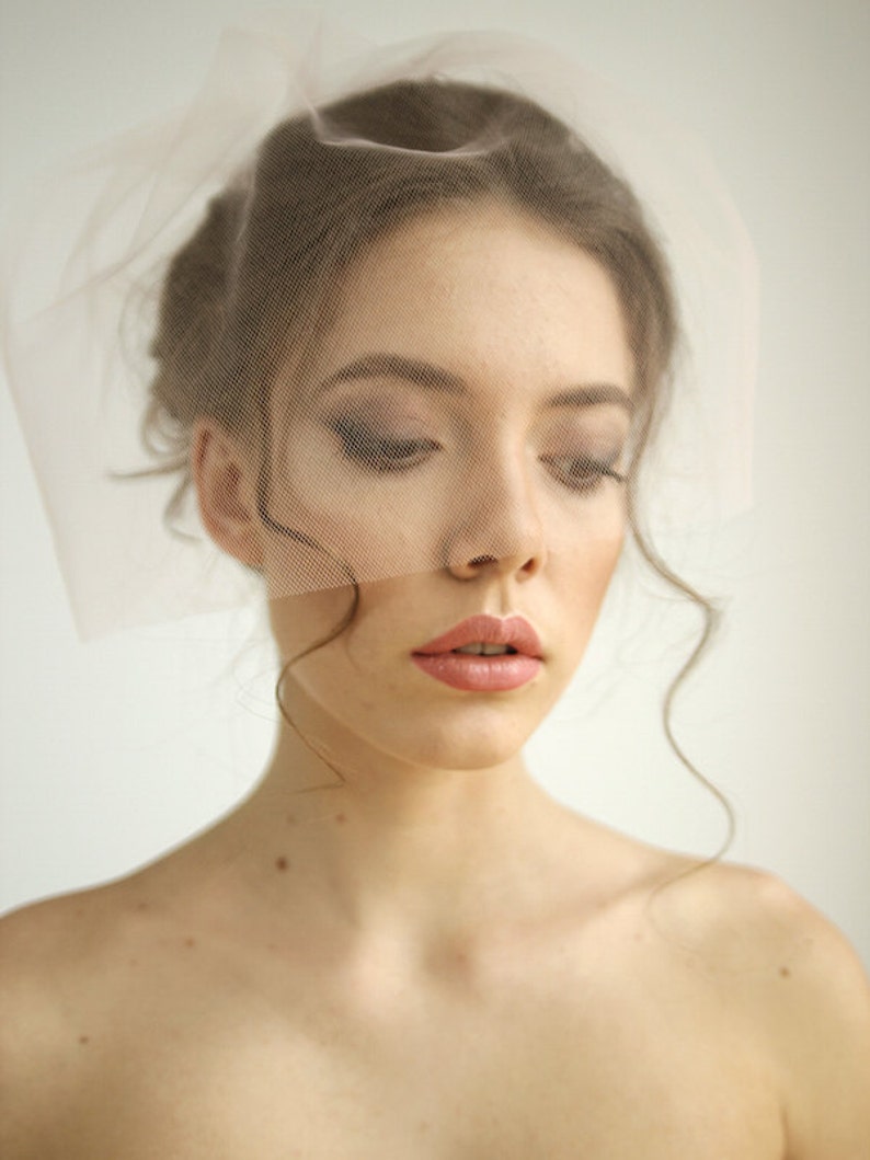 Blush Pink Tulle Birdcage Wedding Veil Simple Birdcage Etsy