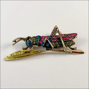 Broche Vintage Insecte Sauterelle émail Et Strass - Idée Cadeau Pull