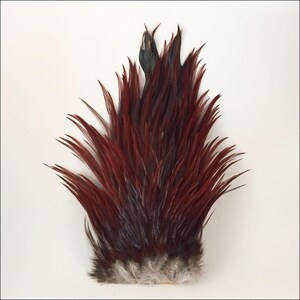 May include: A cluster of rooster feathers in shades of burgundy, brown, and black, with a gray and white base. The feathers are arranged in a fan-like shape, ideal for crafting or decorative purposes.