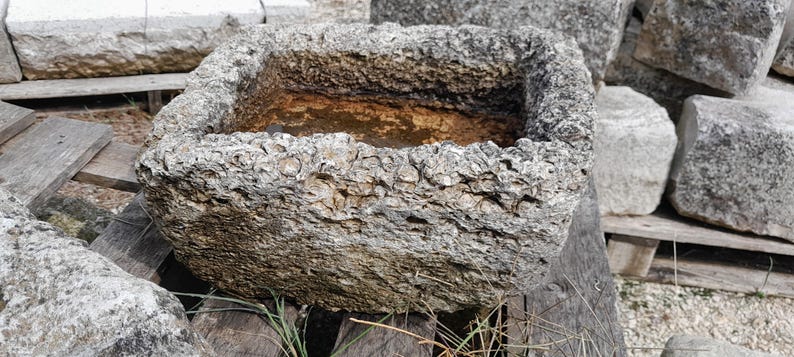 May include: A weathered, rectangular stone trough with a rough, textured surface. The trough is filled with water and has a rustic, aged appearance.