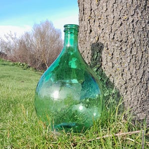 Pode incluir: Uma grande garrafa de vidro verde com uma superfície texturizada está sobre um leito de grama verde. A garrafa está parcialmente escondida por um tronco de árvore.