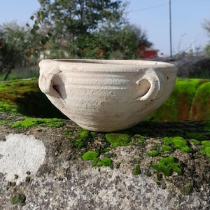May include: A white ceramic bowl with two handles. The bowl is sitting on a mossy rock.