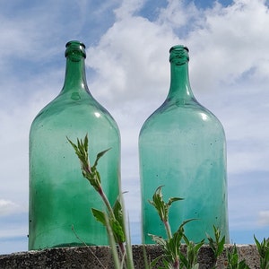 May include: Two large, green glass bottles with a cloudy appearance stand on a concrete surface. Green plants grow in front of the bottles, partially obscuring them. The bottles are positioned against a bright blue sky with white clouds.