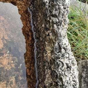 May include: A close-up of a stone birdbath with a rough, textured surface. The birdbath is filled with water and has a natural, rustic look.