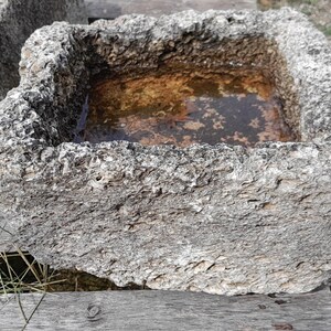 May include: A square, gray stone planter with rough texture and a rectangular opening. The planter is filled with water and has a rustic, weathered appearance.