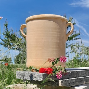 Può includere: Un grande vaso in ceramica beige con due manici, sullo sfondo di un cielo azzurro brillante e vegetazione. Fiori rossi e rosa poggiano su una superficie di pietra davanti al vaso, suggerendo un ambiente da giardino.