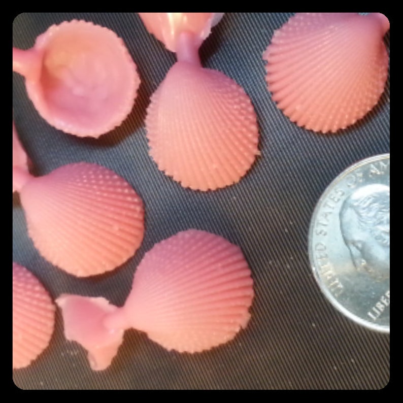 6 Clam Shell Wax Patterns for Lost Wax Casting. Etsy Denmark